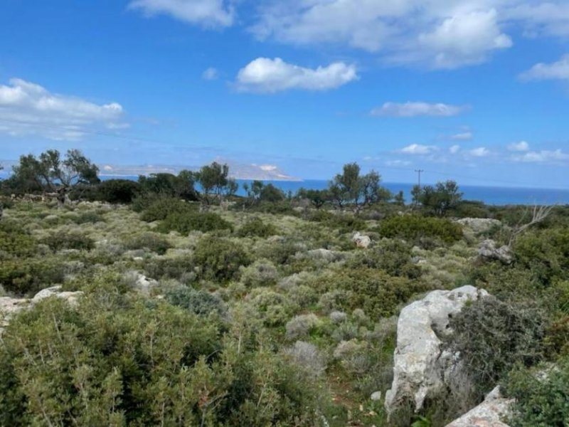 Kokkino Chorio Grundstück mit Meerblick in berühmter Gegend auf Kreta Grundstück kaufen